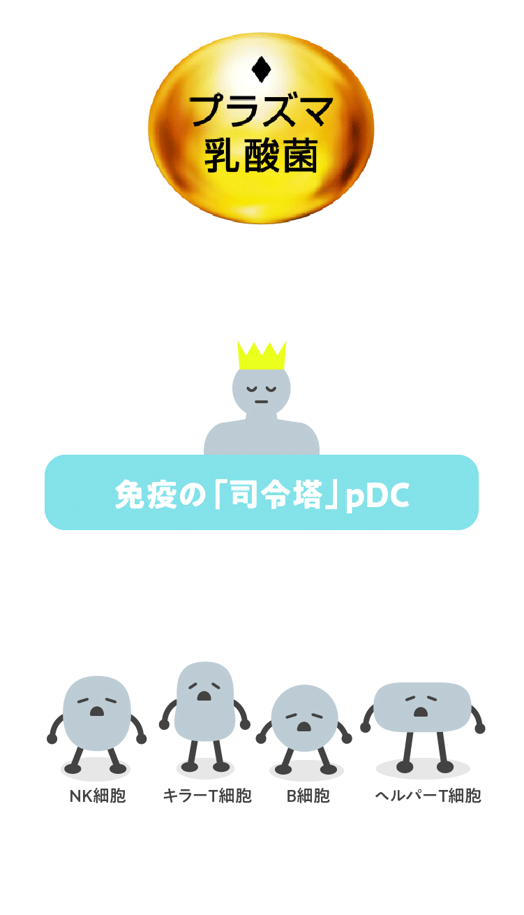 プラズマ乳酸菌は『免疫の司令塔(pDC)』を直接活性化する唯一の乳酸菌です。※