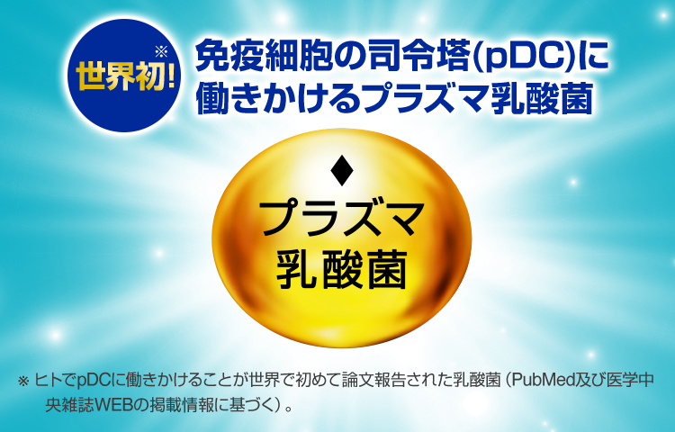 世界初! 免疫細胞の司令塔(pDC)に働きかけるプラズマ乳酸菌