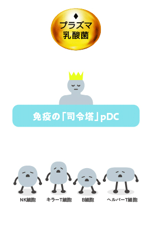 プラズマ乳酸菌