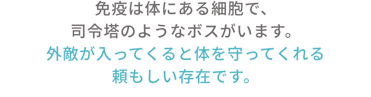 免疫は体にある細胞で、司令塔のようなボスがいます。外敵が入ってくると体を守ってくれる頼もしい存在です。