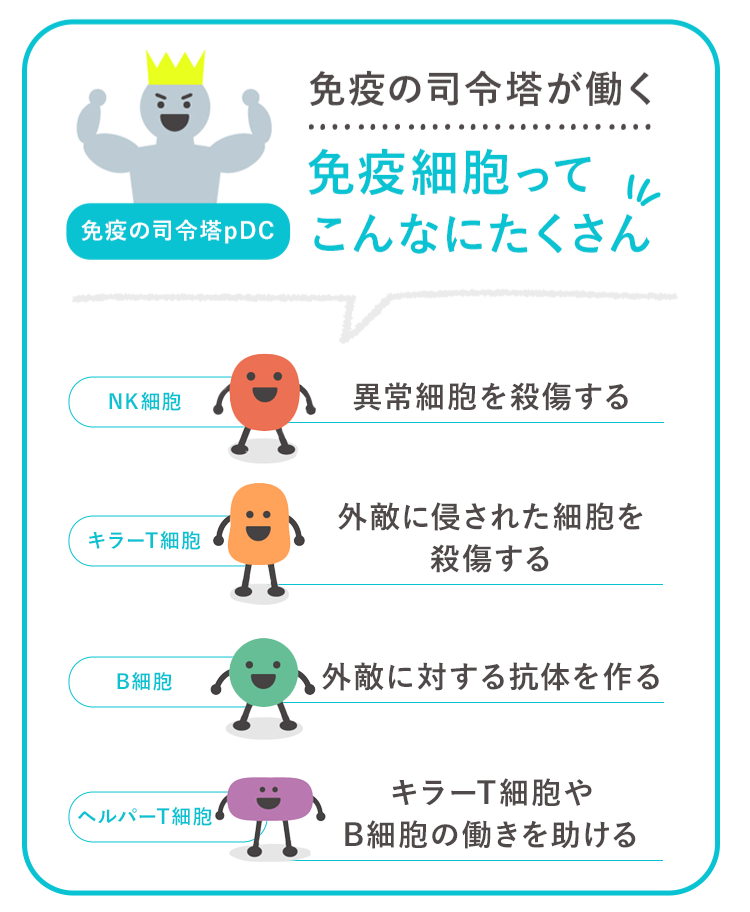 免疫細胞ってこんなにたくさん