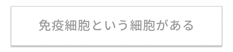 免疫細胞という細胞がある
