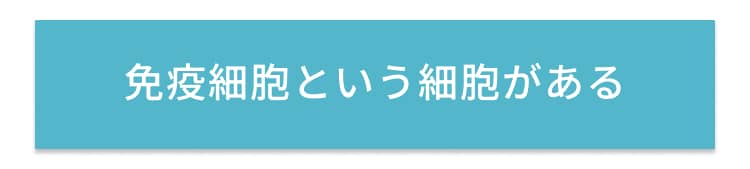 免疫細胞という細胞がある
