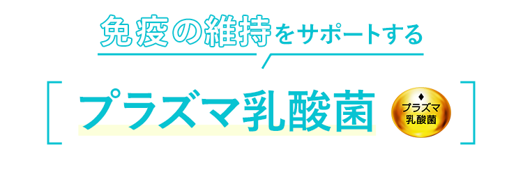 免疫の維持をサポートするプラズマ乳酸菌