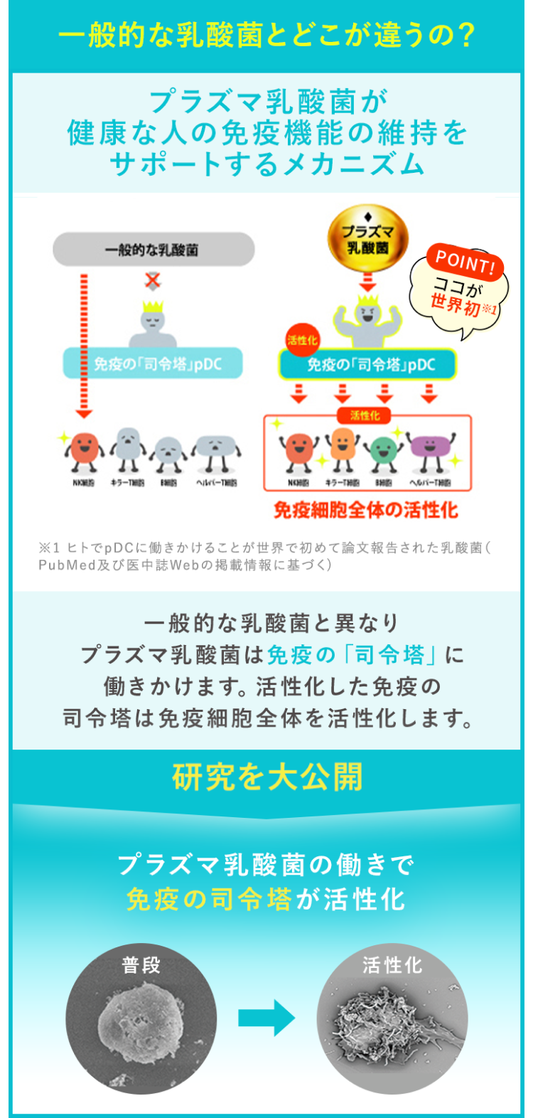 一般的な乳酸菌とどこがちがうの？