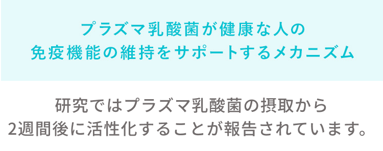プラズマ乳酸菌が健康な人の免疫機能の維持をサポートするメカニズム