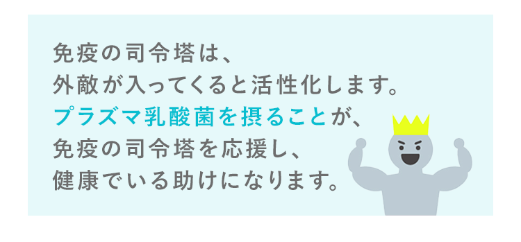 免疫の司令塔は、普段眠っており、外敵が入ってくると活性化します。プラズマ乳酸菌を摂ることが、免疫の司令塔を応援し、健康でいる助けになります。