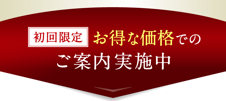 初回限定 お得な価格でのご案内実施中a