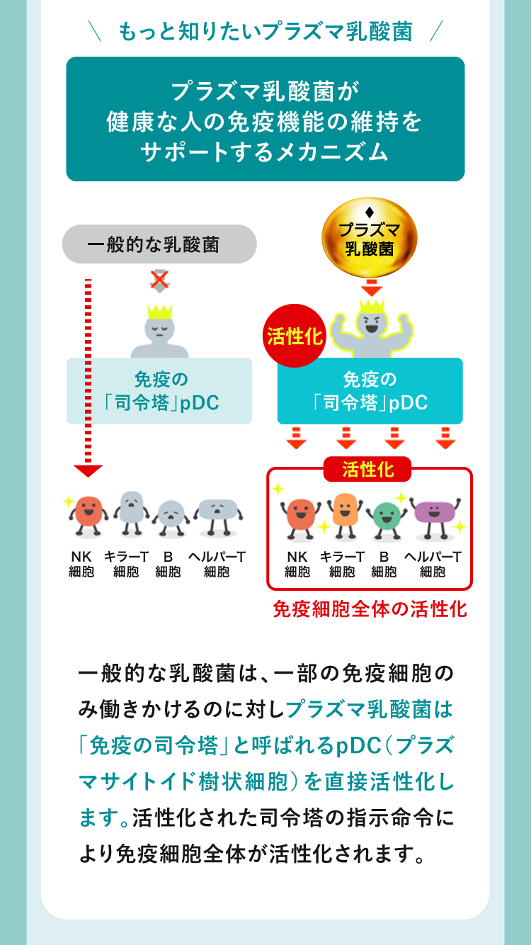 ラズマ乳酸菌が健康な人の免疫機能の維持をサポートするメカニズム