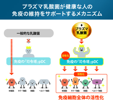 健康な人の免疫機能の維持をサポートするメカニズム