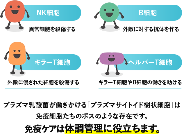 NK細胞 以上細胞を殺傷する B細胞 外敵に対する抗体を作る キラーT細胞 外敵に侵された細胞を殺傷する ヘルパーT細胞 キラーT細胞やB細胞の働きを助ける プラズマ乳酸菌が働きかける「プラズマサイトイド樹状細胞」は免疫細胞たちのボスのような存在です。 免疫ケアは体調管理に役立ちます。