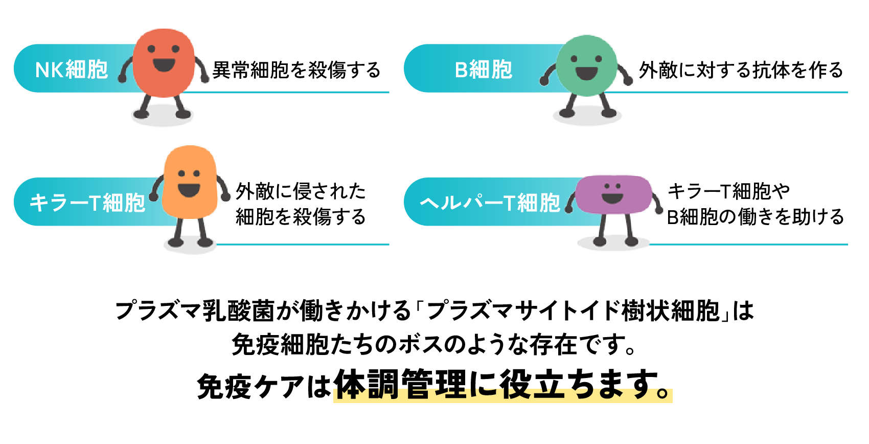 免疫の司令塔が働きかける免疫細胞たちのご紹介