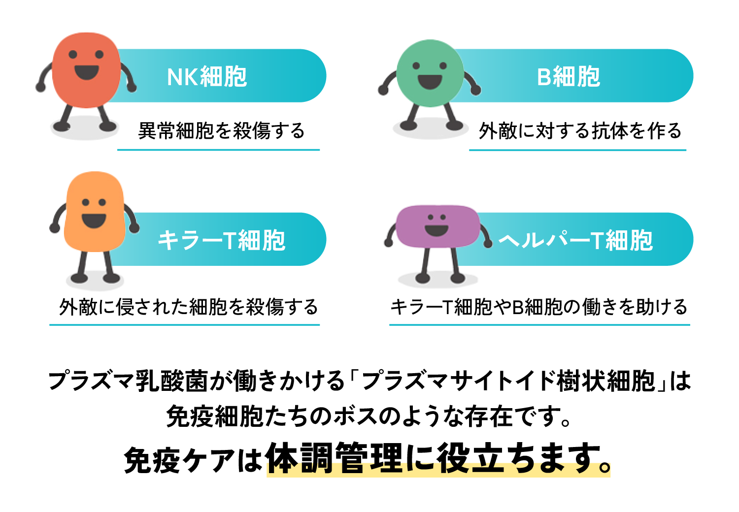 免疫の司令塔が働きかける免疫細胞たちのご紹介