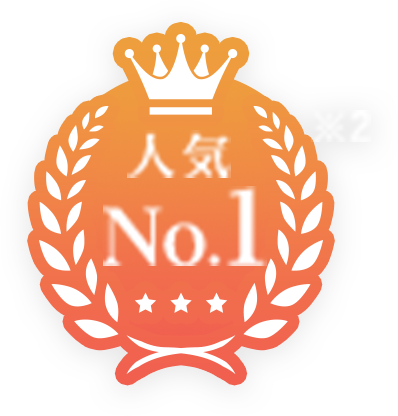 人気No.1 ※2