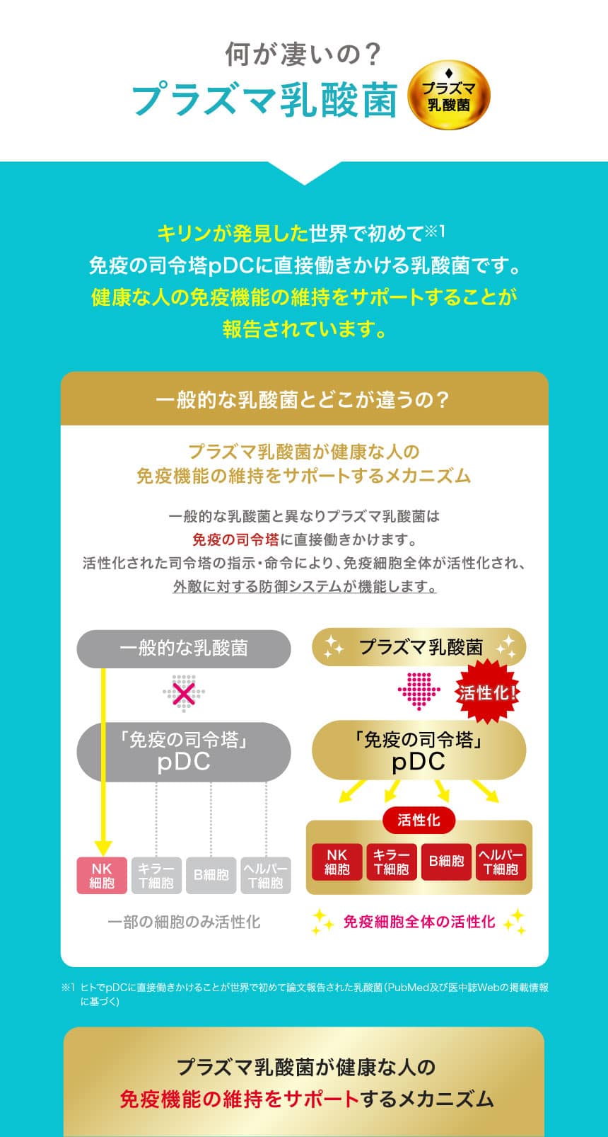 何がすごいの？プラズマ乳酸菌