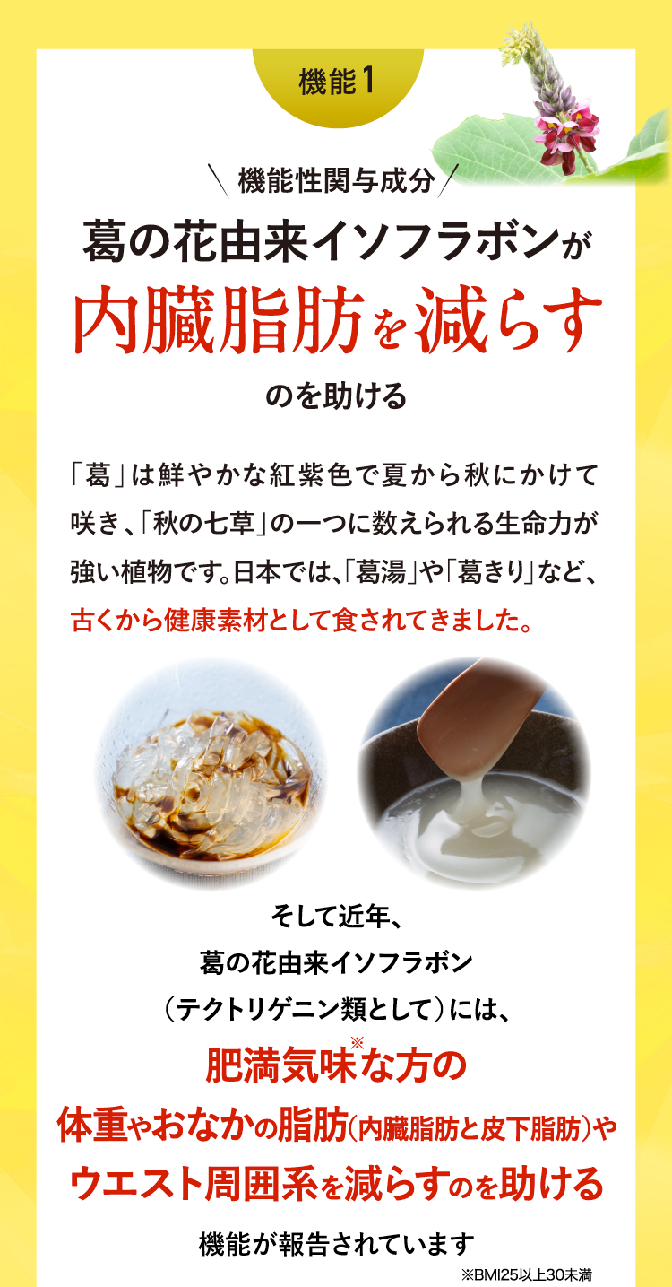 機能1　機能性関与成分　葛の花由来イソフラボンが内臓脂肪を減らすのを助ける