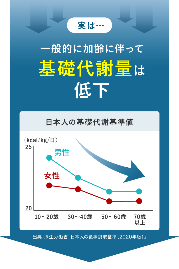 実は…一般的に加齢に伴って基礎代謝量は低下