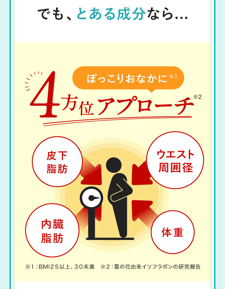 でもとある成分なら…ぽっこりお腹に4方位アプローチ 皮下脂肪、ウエスト周囲径、内臓脂肪、体重