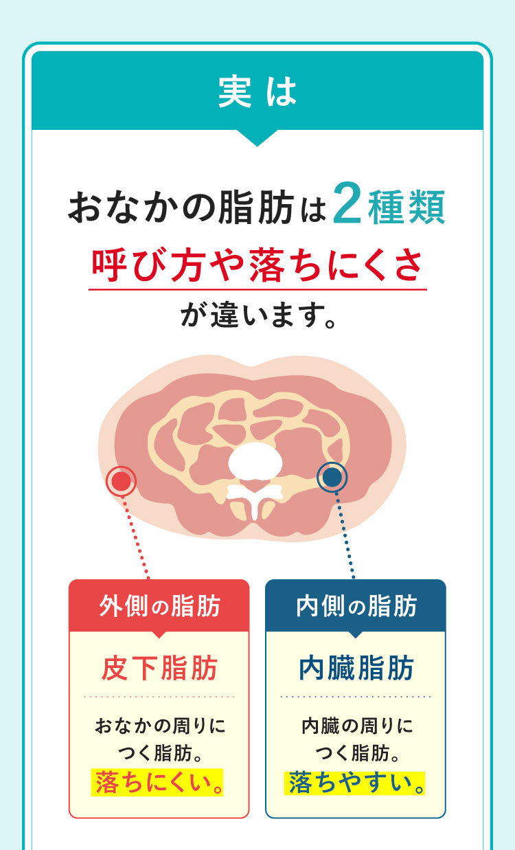 実はおなかの脂肪は2種類 呼び方や落ちにくさが違います。 外側の脂肪は皮下脂肪と言い落ちにくいです。 内側の脂肪は内臓脂肪と言い落ちやすいです。