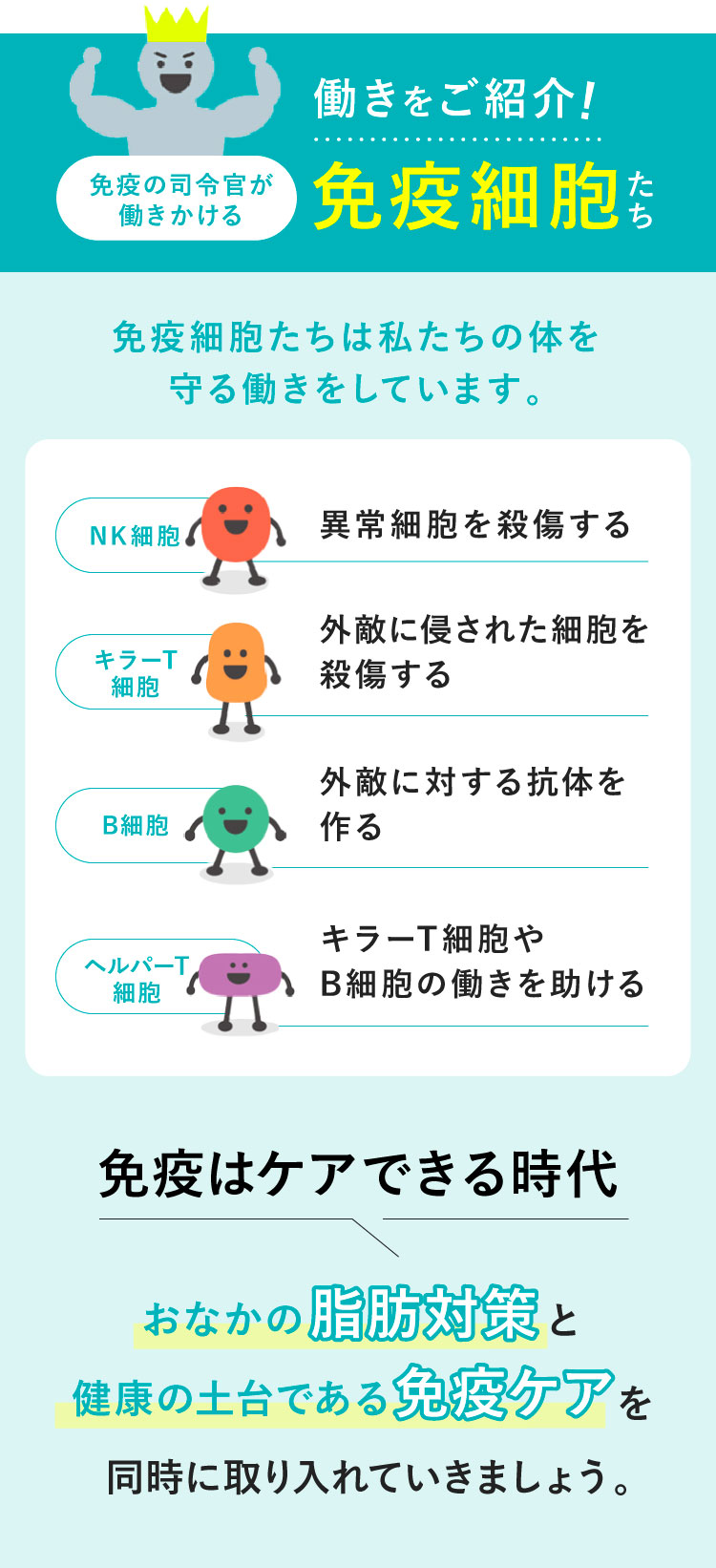 免疫細胞たちの働きをご紹介！ NK細胞異常細胞を殺傷する キラーT細胞外敵に侵された細胞を殺傷する B細胞外敵に対する抗体を作る ヘルパーT細胞キラーT細胞やB細胞の働きを助ける