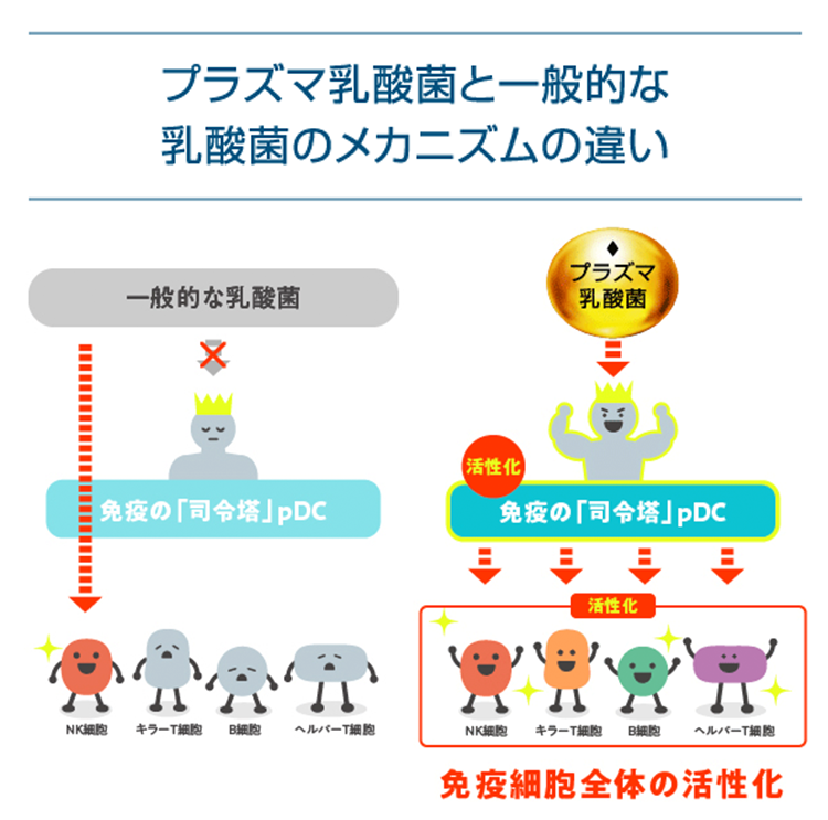プラズマ乳酸菌と一般的な乳酸菌のメカニズムの違い