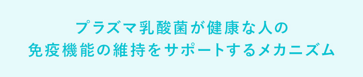 プラズマ乳酸菌が健康な人の免疫機能の維持をサポートするメカニズム