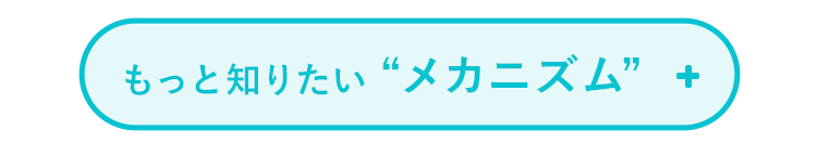もっと知りたいプラズマ乳酸菌