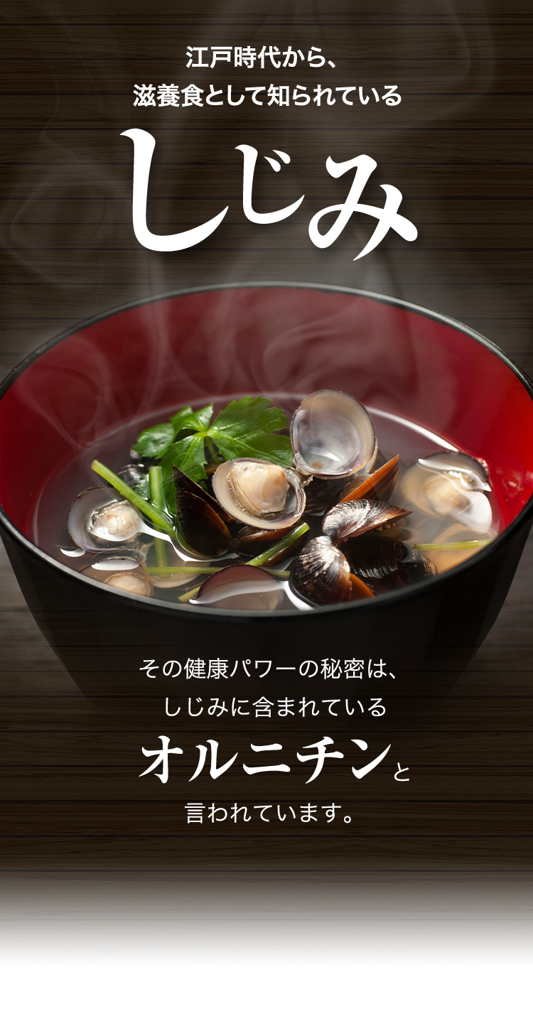 江戸時代から、滋養食としてしられているしじみ その健康パワーの秘密は、しじみに含まれているオルニチンと言われています。