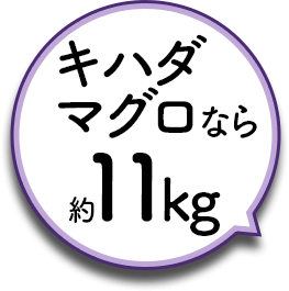 キハダマグロなら約11kg