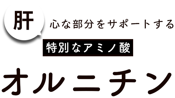 肝心な部分をサポートするアミノ酸の一種オルニチン