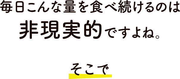 毎日こんな量を食べ続けるのは非現実的ですよね。