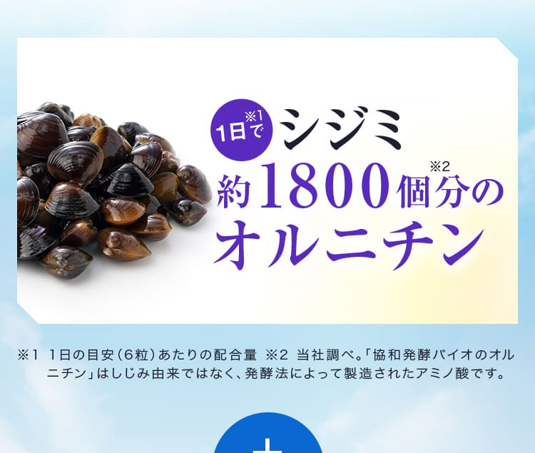 シジミ約1800個分のオルニチン