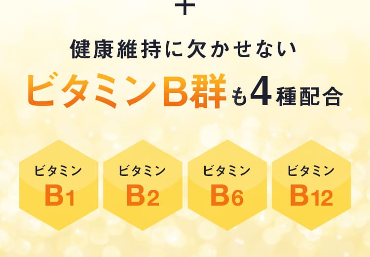 健康維持に欠かせないビタミンB群も4種配合